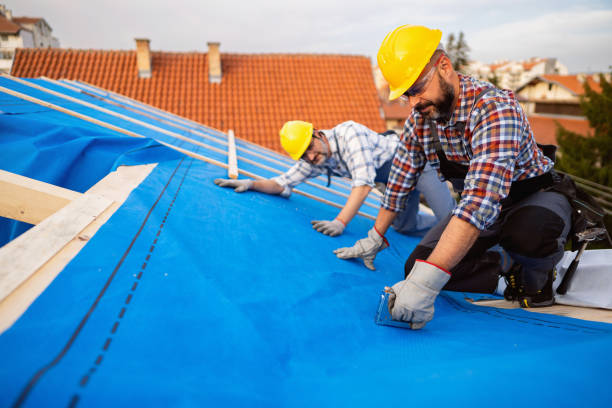 Best Roof Gutter Cleaning  in Woodacre, CA